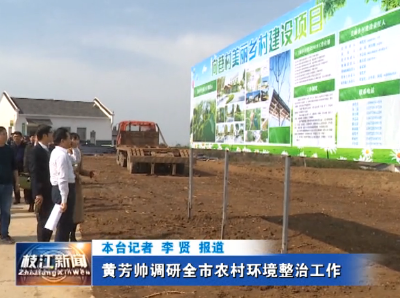 黄芳帅调研全市农村环境整治工作