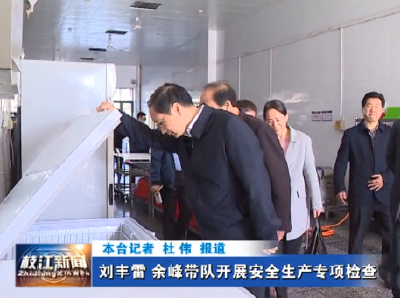 刘丰雷 余峰带队开展安全生产专项检查