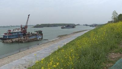 余峰带队开展长江河长巡河工作