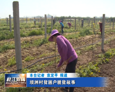 坝洲村贫困户脱贫故事