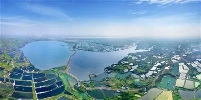 田园枝江“牵手”三峡大坝 迷人水乡等你来！
