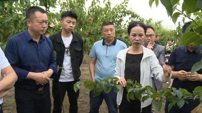枝江市：乡村课堂 专家教授为农民技术员释疑解惑