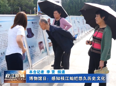 博物馆日：感知枝江灿烂悠久历史文化