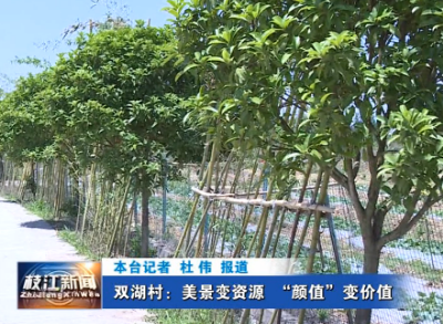 双湖村：美景变资源  “颜值”变价值