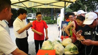 马羊洲蔬菜走进武汉军运会