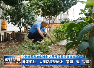《创建国家卫生城市 人居环境整治百日攻坚行动》滕家河村：人居环境整治让“菜园”变“花园”