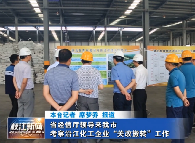 省经信厅领导来我市考察沿江化工企业“关改搬转”工作