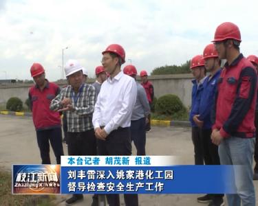 V视| 刘丰雷深入姚家港化工园督导检查安全生产工作