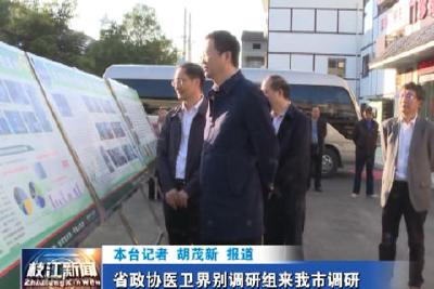 V视| 省政协医卫界别调研组来我市调研