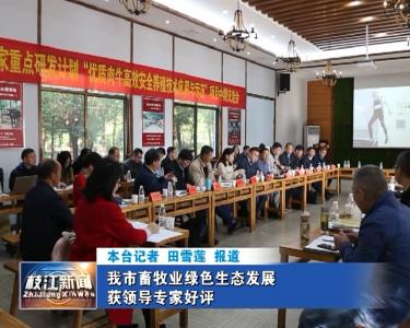 V视| 我市畜牧业绿色生态发展获领导专家好评