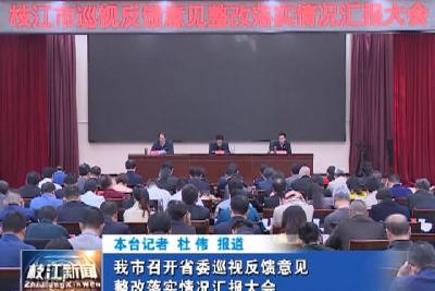 V视| 我市召开省委巡视反馈意见整改落实情况汇报大会