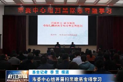 V视| 市委中心组开展扫黑除恶专项学习