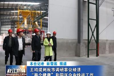 V视| 王均成到我市调研非公经济“两个健康”和园区企业统战工作