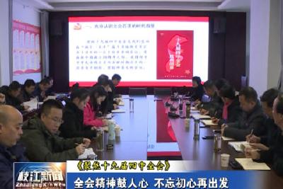 V视| 全会精神鼓人心  不忘初心再出发