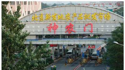 北京14日核酸检测76499人，59份阳性