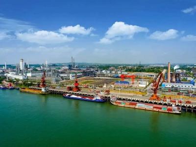 枝江：党建引领整体联动 助力抗疫复工双胜利