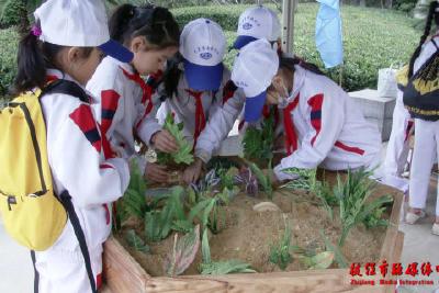 我市小学生冬季研学实践教育活动正式开营