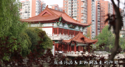 《枝江》，好听！