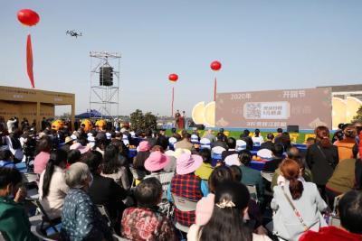 2020年（第二届）枝江脐橙开园节活动举行！