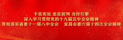 干在实处 走在前列 当好引擎 深入学习贯彻党的十九届五中全会精神 贯彻落实省委十一届八中全会 宜昌市委六届十四次全会精神