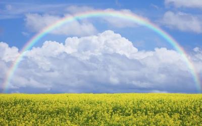 新的一年，做一个温暖且有力量的人