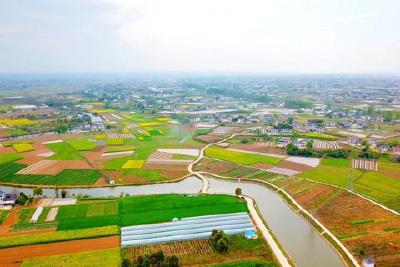 宜昌市新增17个省级生态乡镇，枝江2个乡镇榜上有名！