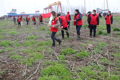 市水利和湖泊局：植树添绿正当时 共建生态美家园