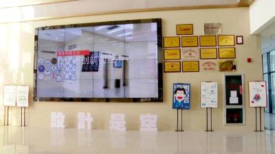 枝江：科技赋能 激活高质量发展“一江春水”