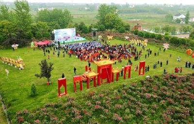 三峡·董市第六届月季文化旅游节精彩启幕