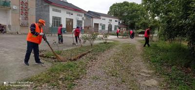 市统计局：乡村清洁日 行动“靓”金龙