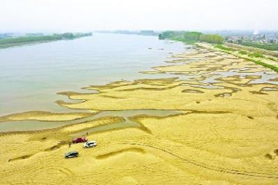 长江岸线沙浪奇观