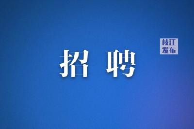 枝江市城市管理综合执法大队关于招聘城市管理员公告