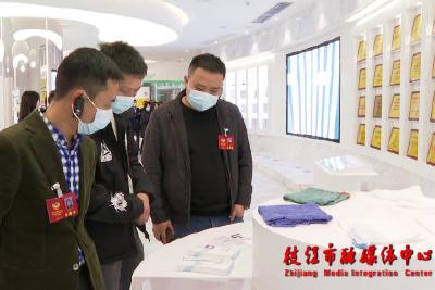 【聚焦两会】市政协七届一次会议开展委员视察活动