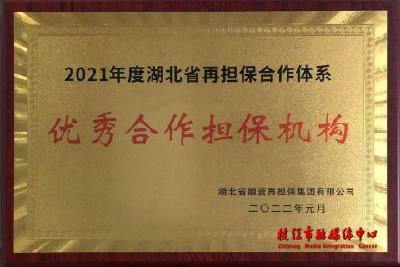 喜报！枝江金桥担保公司连续三年获省级“优秀合作担保机构”称号
