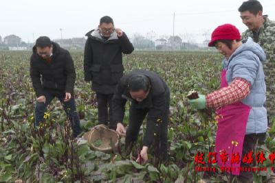 枝江：不误农时备春耕 安全知识进农家