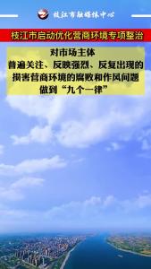 枝江市启动优化营商环境专项整治 #枝江 #优化营商环境 
