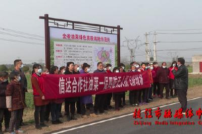 问安镇：抓紧开展飞防作业 夯实油菜丰收基础