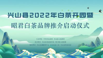 直播 | 兴山县2022年白茶开园暨昭君白茶品牌推介启动仪式