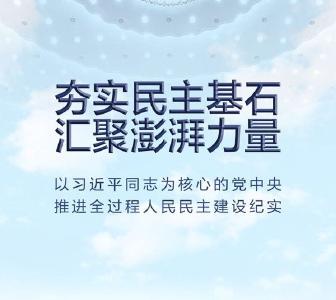 以习近平同志为核心的党中央推进全过程人民民主建设纪实