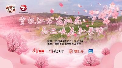 3月30日上午10点，“这里是湖北·荆楚花开”云上赏花全媒体行动走进枝江