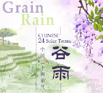 今日谷雨