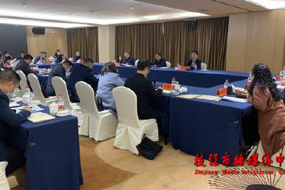 宜昌市社会工作类项目投资现场调度会在枝江召开