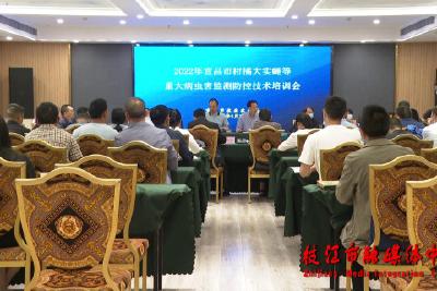 2022年宜昌市重大病虫害监测防控技术培训会在枝江召开