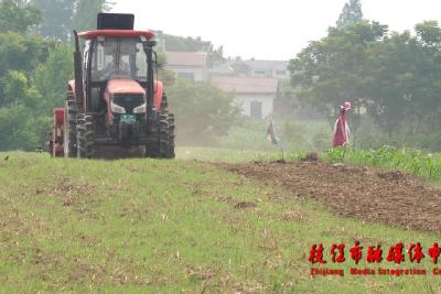 宜昌市节水抗旱稻技术现场观摩会在枝江举行