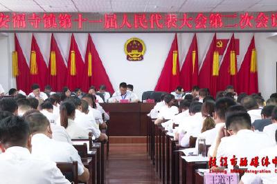 安福寺镇第十一届人民代表大会第二次会议召开