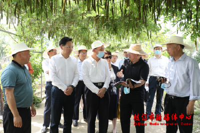 省人大常委会副主任周洪宇来枝江开展重点建议督办调研