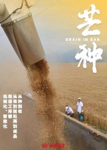 芒种，聪明属于你！