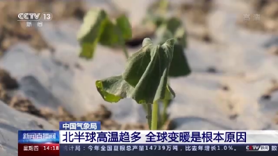 就在明天，正式迎来！长达40天……