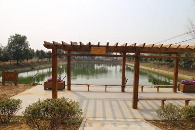 枝江：违建变身“和谐亭” 共同缔造美家园