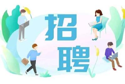 枝江：退役军人专场招聘会 助力退役军人高质量就业